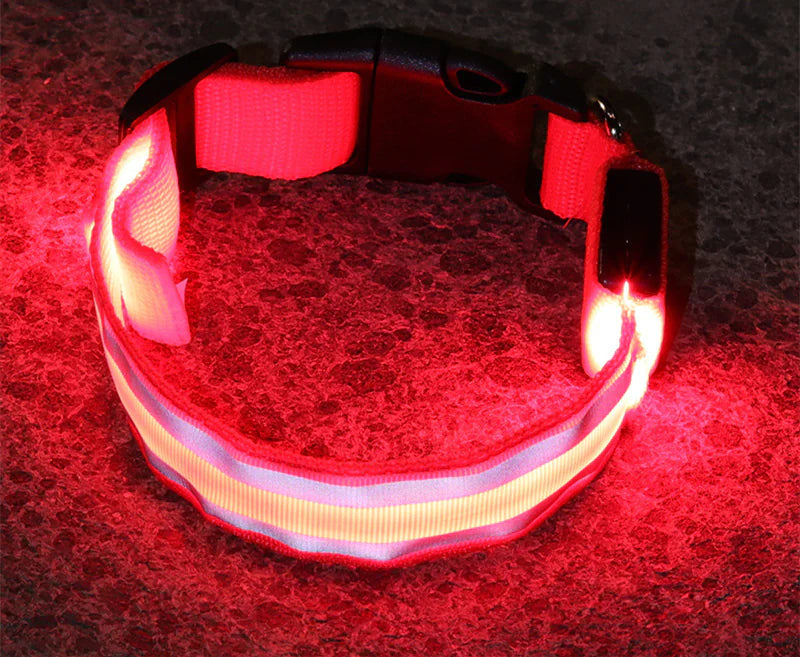 Anti-Lost LED Luminous Dog Collar – Rechargeable, Reflective Safety Pet Collar