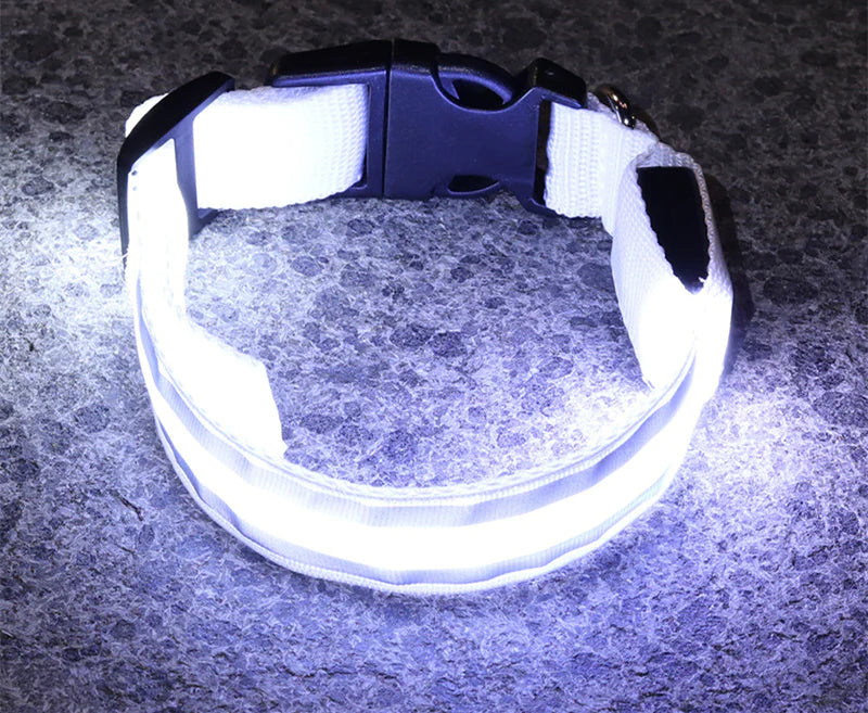 Anti-Lost LED Luminous Dog Collar – Rechargeable, Reflective Safety Pet Collar