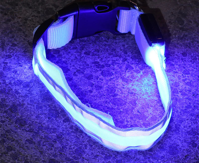 Anti-Lost LED Luminous Dog Collar – Rechargeable, Reflective Safety Pet Collar