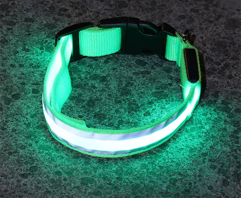 Anti-Lost LED Luminous Dog Collar – Rechargeable, Reflective Safety Pet Collar