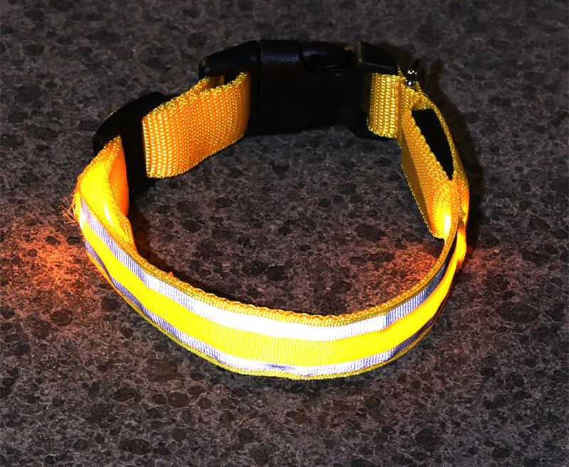 Anti-Lost LED Luminous Dog Collar – Rechargeable, Reflective Safety Pet Collar