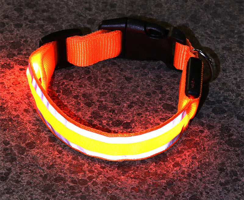 Anti-Lost LED Luminous Dog Collar – Rechargeable, Reflective Safety Pet Collar