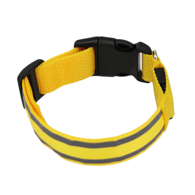 Anti-Lost LED Luminous Dog Collar – Rechargeable, Reflective Safety Pet Collar