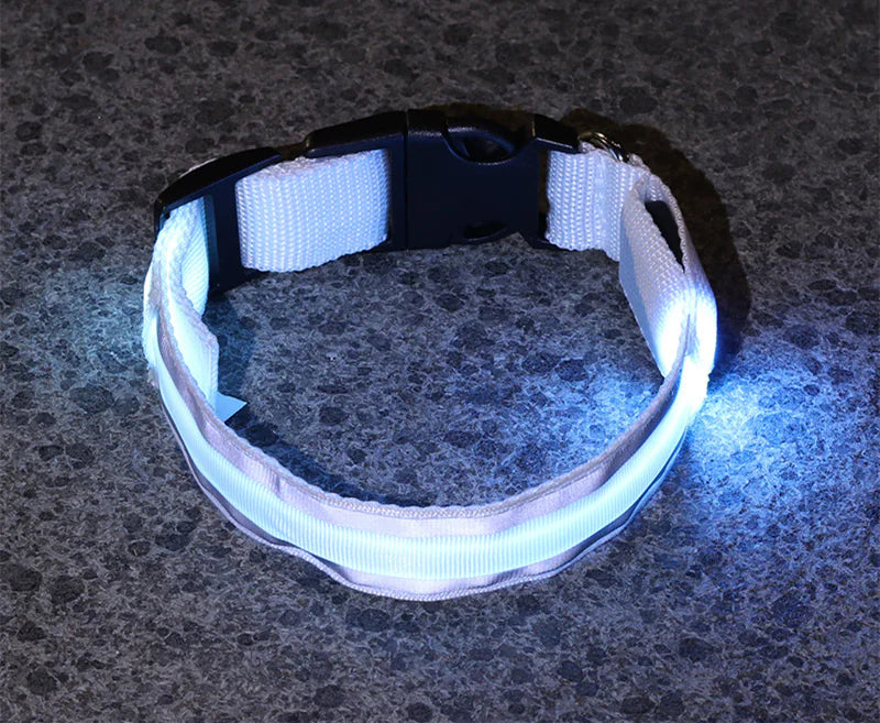 Anti-Lost LED Luminous Dog Collar – Rechargeable, Reflective Safety Pet Collar