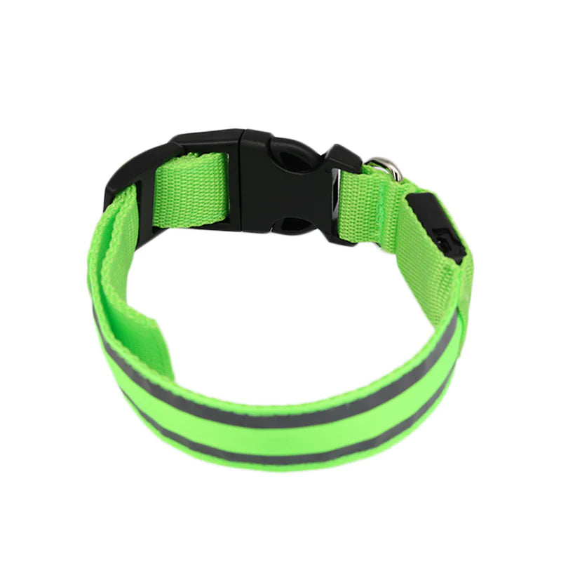 Anti-Lost LED Luminous Dog Collar – Rechargeable, Reflective Safety Pet Collar