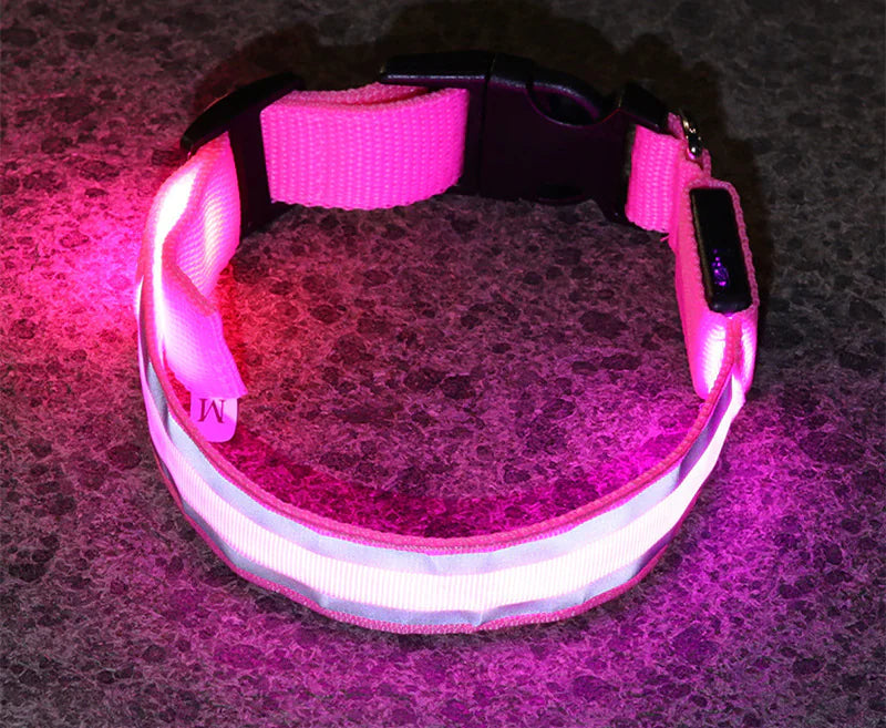 Anti-Lost LED Luminous Dog Collar – Rechargeable, Reflective Safety Pet Collar