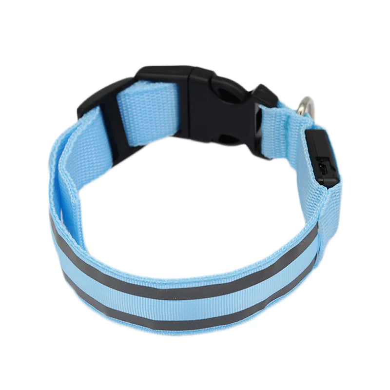 Anti-Lost LED Luminous Dog Collar – Rechargeable, Reflective Safety Pet Collar