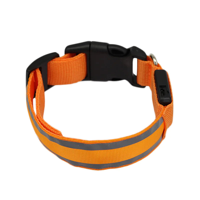 Anti-Lost LED Luminous Dog Collar – Rechargeable, Reflective Safety Pet Collar